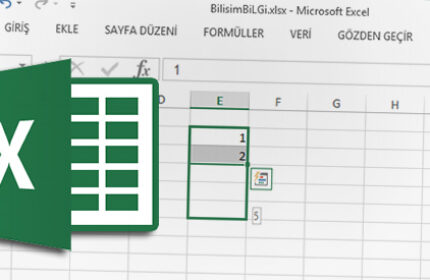 Excel’ de Doldurma Tutamacı’ nı Devreye Alma yada Gizleme