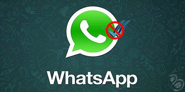 whatsapp-okundu-bilgisi